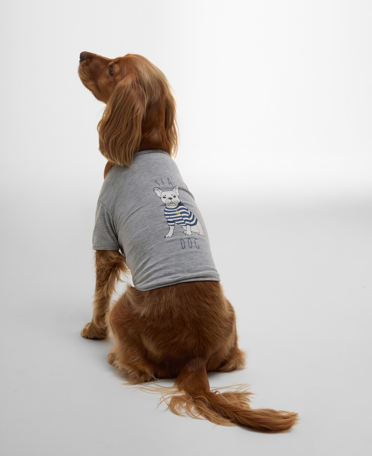 T-shirt pour Chien Barbour