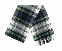Echarpe Tartan Barbour New Check